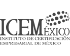 logo ICEM